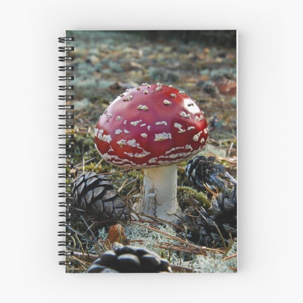Item preview, Amanita muscaria designed and sold by Nala.