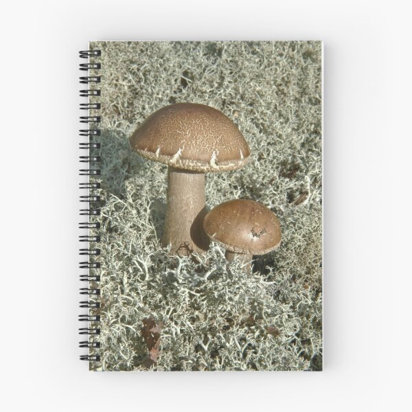 Item preview, Mushroom designed and sold by Nala.