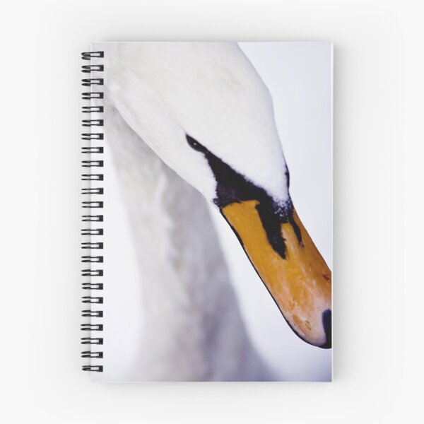 Item preview, Graceful designed and sold by geoff curtis.
