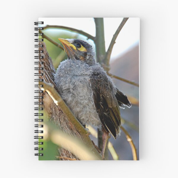 Item preview, miner bird designed and sold by patapping.