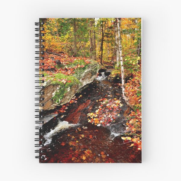 Item preview, Backcountry Stream designed and sold by Nancy Barrett.