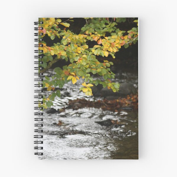 Item preview, Autumn Colours designed and sold by Anna Leworthy.