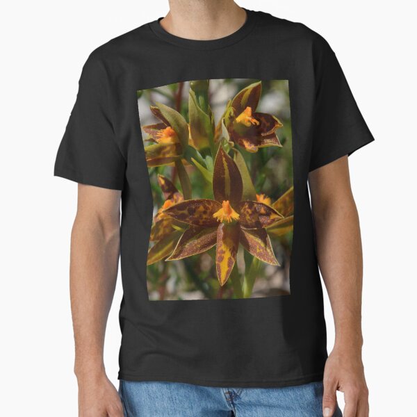 Item preview, Star Sun-orchid Thelymitra stellata Australia designed and sold by Schoensl.