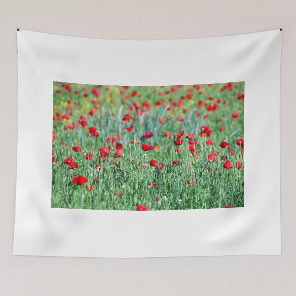 Aperçu de l'œuvre coquelicots champ de fleurs printemps saison créée et vendue par goceris.