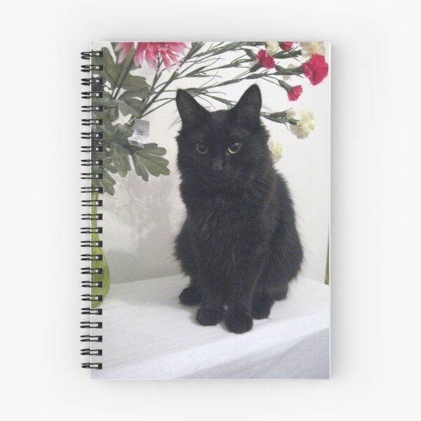 Item preview, Dizzee the Cat designed and sold by nikynaks.