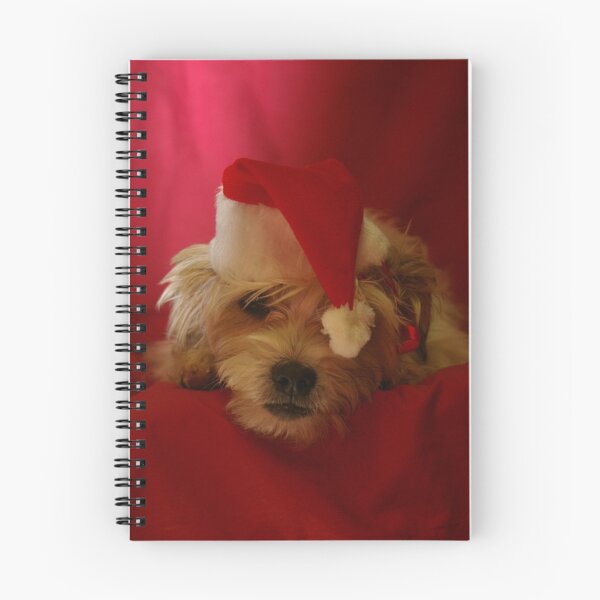 Item preview, IS IT CHRISTMAS ALREADY??? designed and sold by Helen Akerstrom Photography.