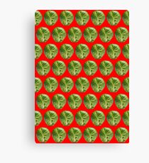Sprouts Sprouts Sprouts! Canvas Print