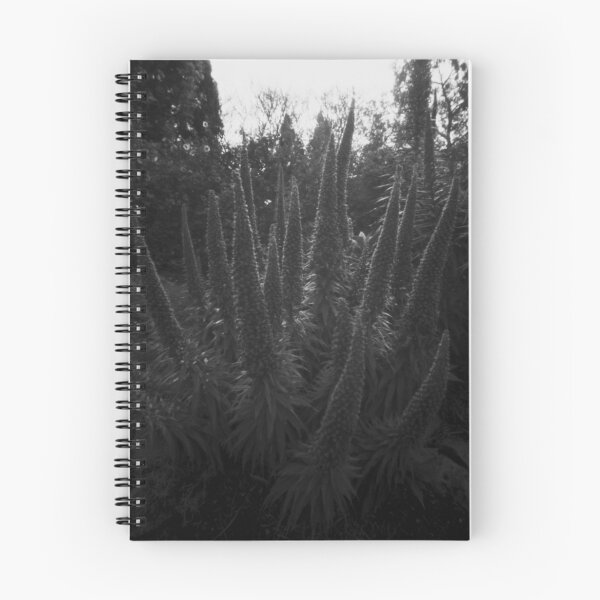 Item preview, Flowering plant - pinhole image designed and sold by Malcolm Garth.