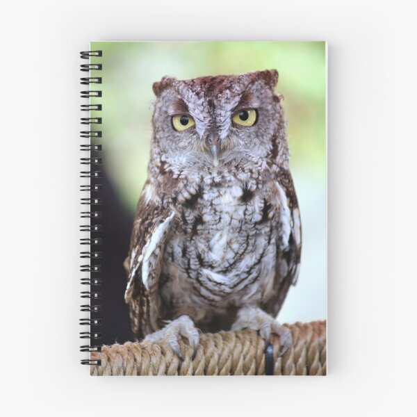 Artikelvorschau, Ketchikan Owl entworfen und verkauft von BC Family.