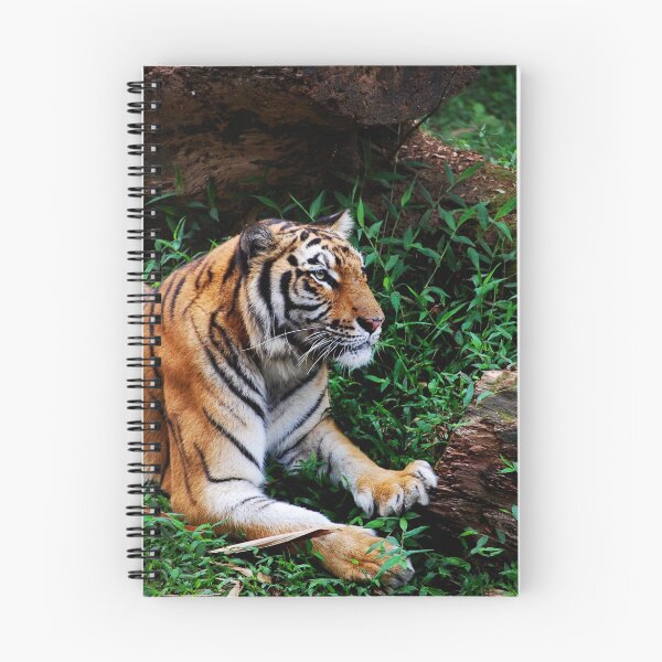 Item preview, Sumatra Tiger designed and sold by Charuhas  Images.