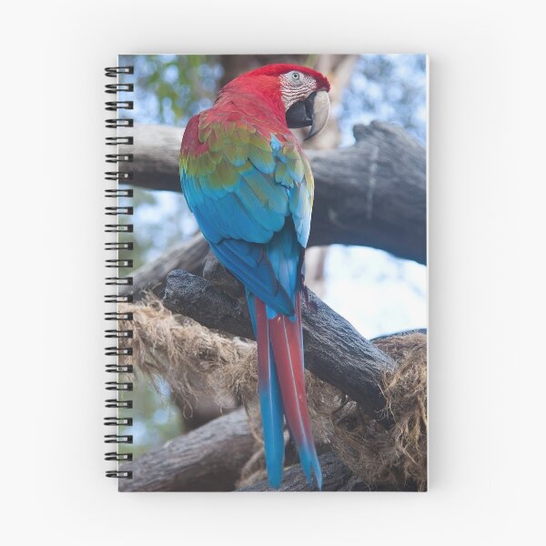 Item preview, Macaw designed and sold by Melissa Gurdus.