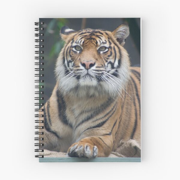 Item preview, Tiger Alert designed and sold by Kellea Croft.