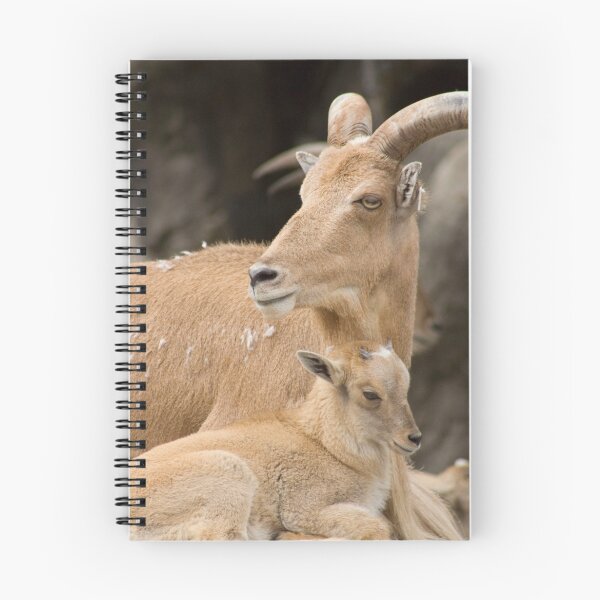 Item preview, Family of Goats designed and sold by Kellea Croft.