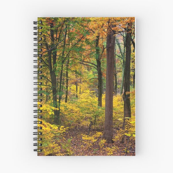 Item preview, Deciduous designed and sold by Margaret Barry.
