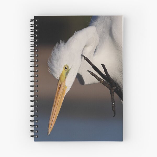 Item preview, Great Egret designed and sold by tomryan.