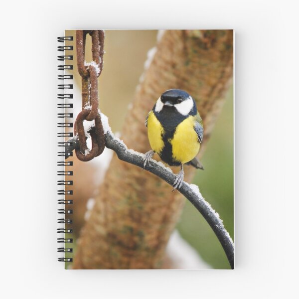 Item preview, Great tit on frosty morning designed and sold by AndrewJonesFoto.