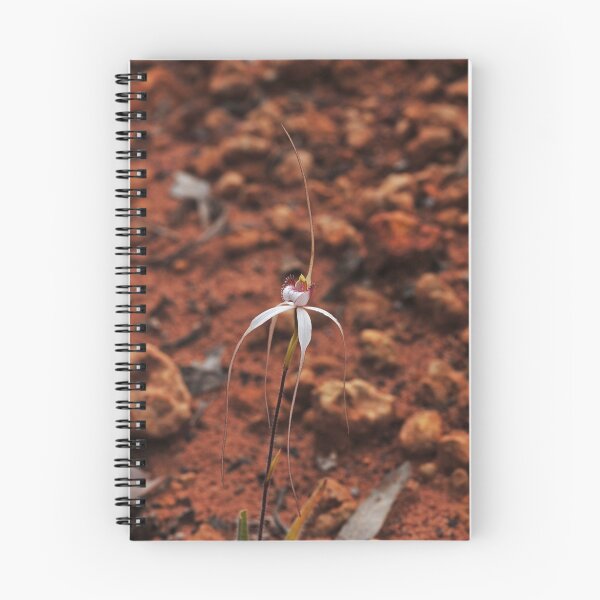 Item preview, Caladenia longicauda ssp eminens designed and sold by Colin12.