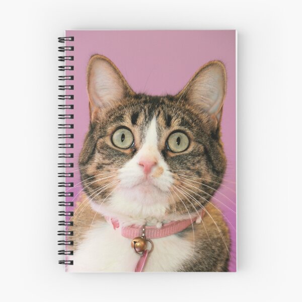 Item preview, Hurrayyyy....I found a home designed and sold by Susanne Correa.