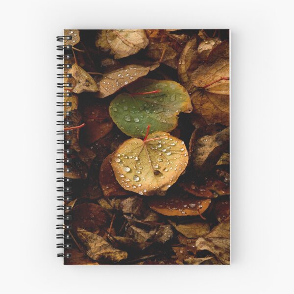 Item preview, After the Rain #3 designed and sold by Jeffrey  Sinnock.