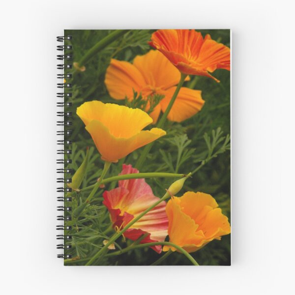 Item preview, Kaliedascope of Color designed and sold by Nicole DeFord.