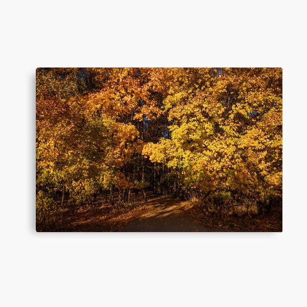 Mind-Blowing Autumn Canvas Print