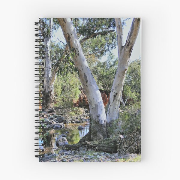 Item preview, River gums designed and sold by julie anne grattan.