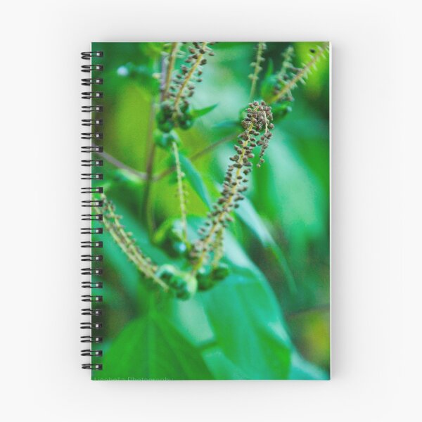 Item preview, Focus designed and sold by lisabella.