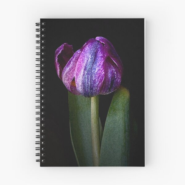 Item preview, Mature Tulip designed and sold by Rosalie Dale.