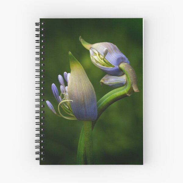 Item preview, Double Delight designed and sold by Dianne English.