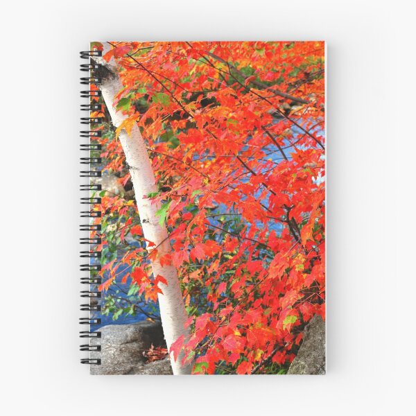 Item preview, White Birch State Tree designed and sold by Wanda Staples.