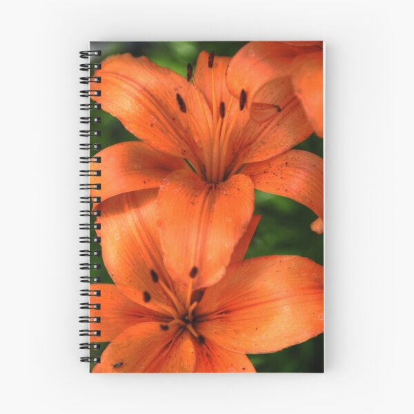 Item preview, Feb2010FlowerCalendar designed and sold by Andy Brooks.