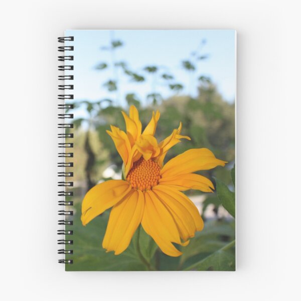 Item preview, Mexican Sunflower Still Unfolding designed and sold by AuntDot.