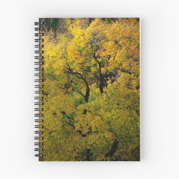 Item preview, Dancing Tree..... designed and sold by Larry Llewellyn.