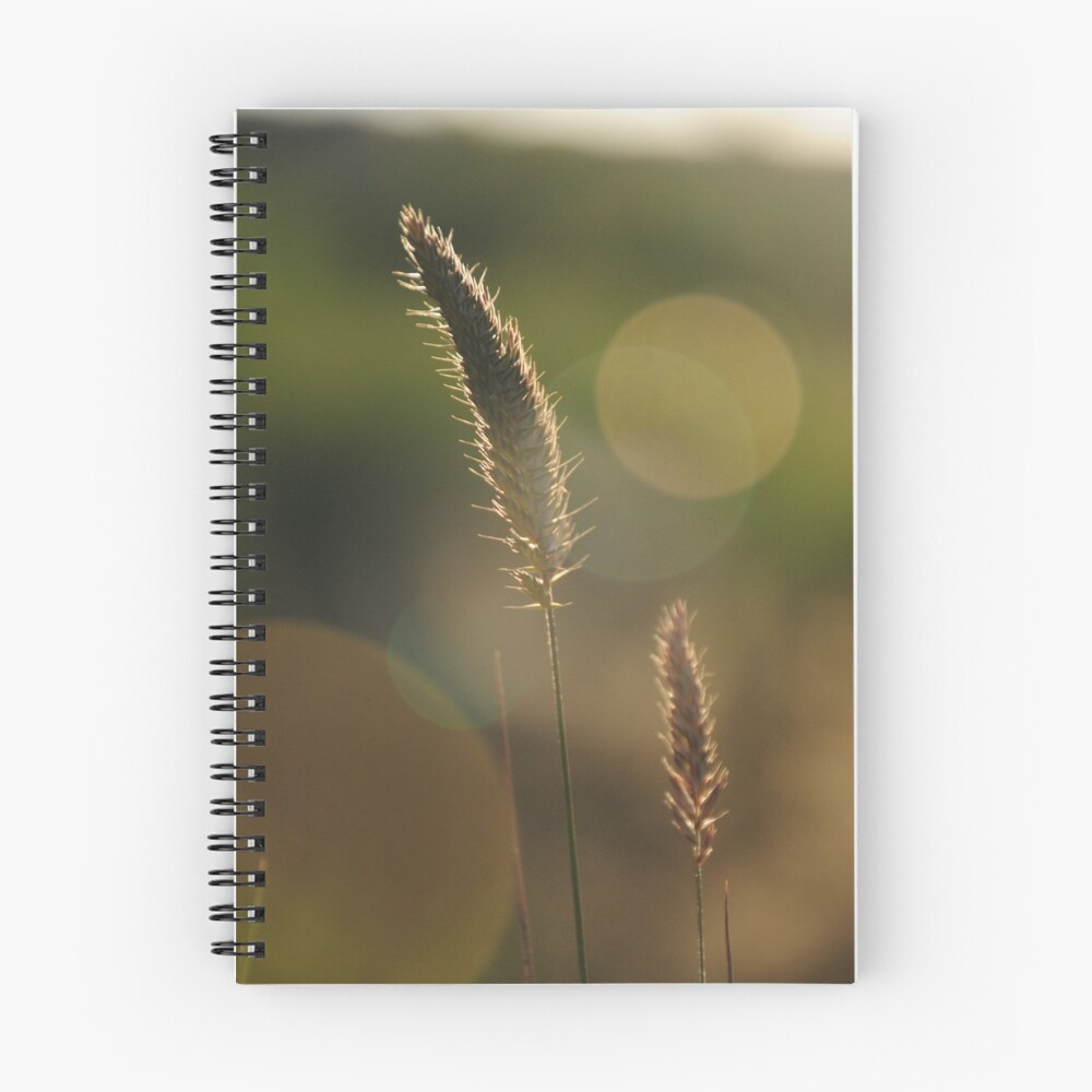 Item preview, Spiral Notebook designed and sold by SyntaxStudio.
