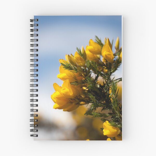 Item preview, Wild broom designed and sold by AlexSaunders.