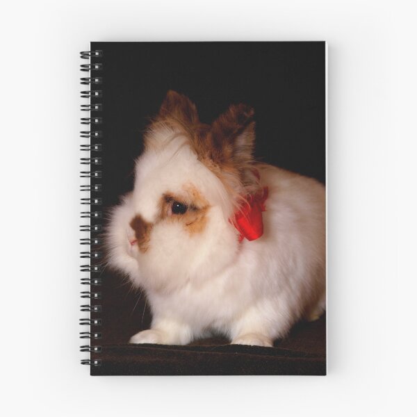 Item preview, Lionhead bunny - Christmas designed and sold by AB Photostudio.
