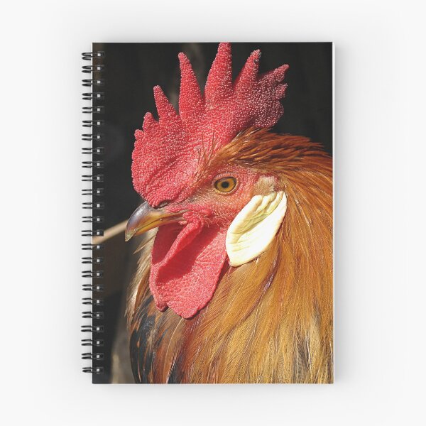 Item preview, Leghorn Rooster designed and sold by Angelandspot.