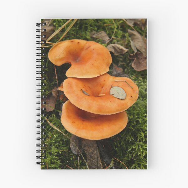 Item preview, Tawny Funnel Cap designed and sold by Robert Abraham.
