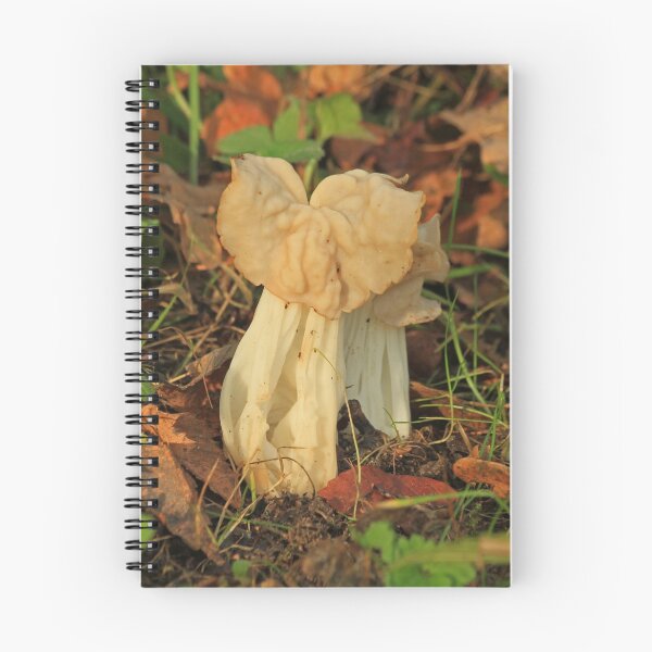 Item preview, Saddle Fungus designed and sold by Robert Abraham.