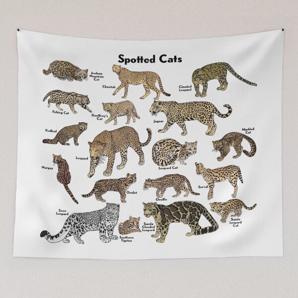 Item preview, Spotted Cats designed and sold by GraceT26.