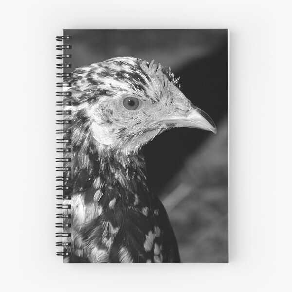 Item preview, Gallina de Ancona designed and sold by Angelandspot.