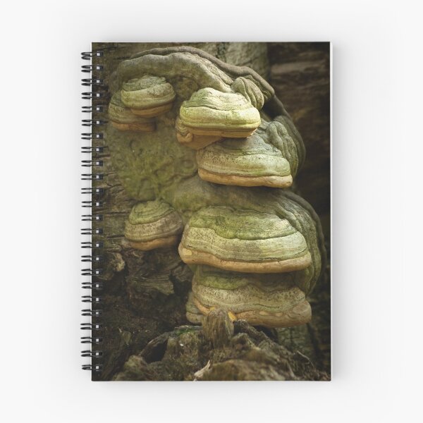 Item preview, Deep in the woods -  designed and sold by steppeland.