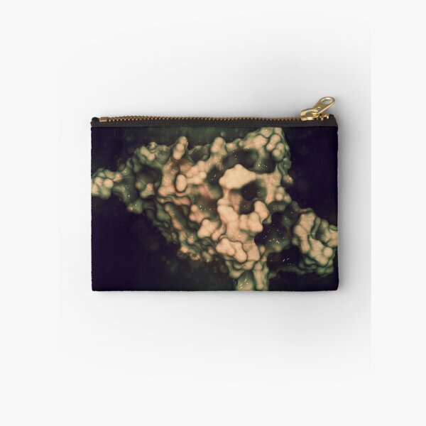 Item preview, Proteína receptora de muerte celular programada 1 (PD-1, CD279) designed and sold by molekuul.