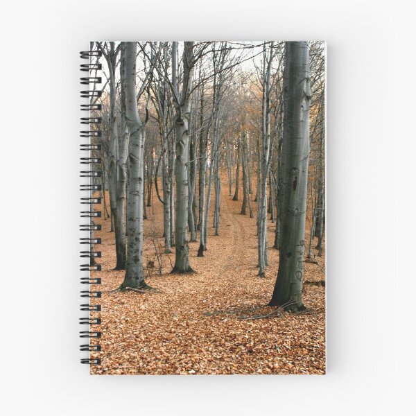 Item preview, A walk in the autumn forest. designed and sold by demigod.