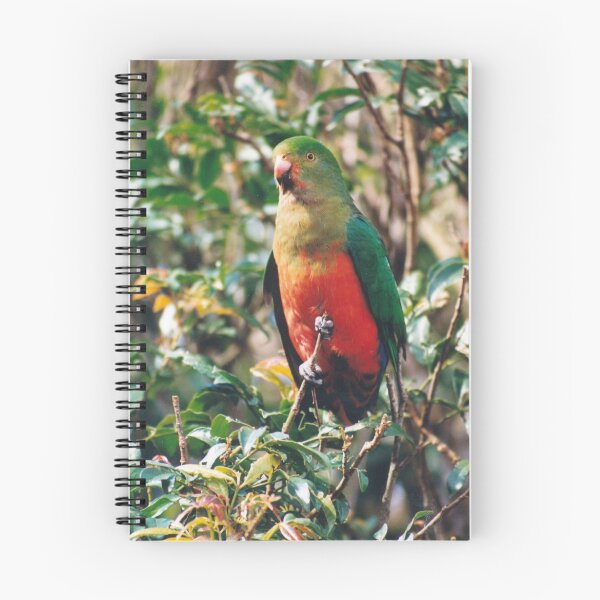 Item preview, King Parrot designed and sold by smallan.