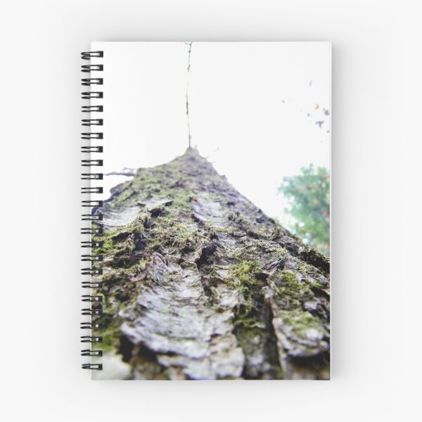 Item preview, Looking up a tree designed and sold by PASpencer.