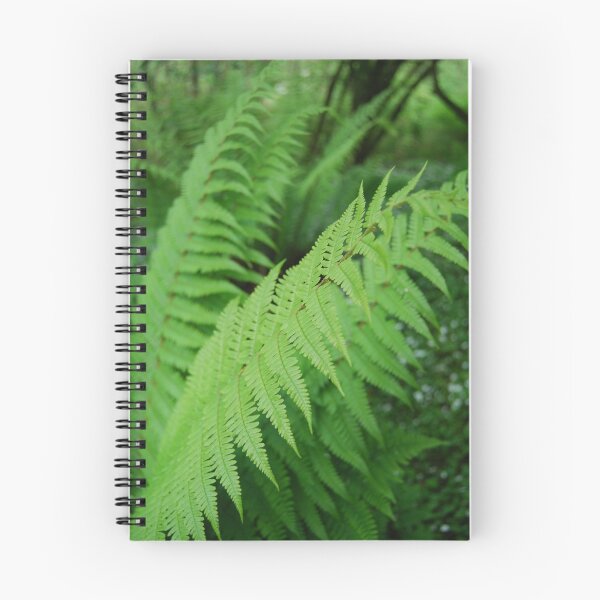 Item preview, Glenashdale, Isle of Arran  designed and sold by thebigidea photography.