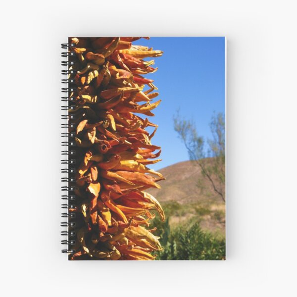 Item preview, The Beautiful Southwest designed and sold by CynLynn.