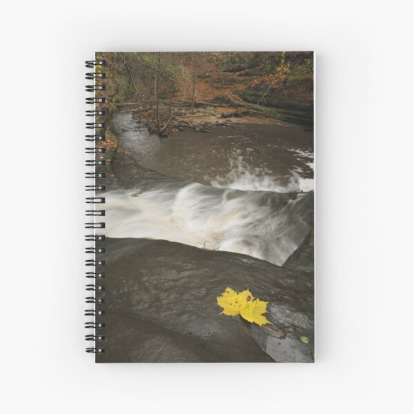 Item preview, Lone Maple Leaf and Waterfall designed and sold by Adam Bykowski.