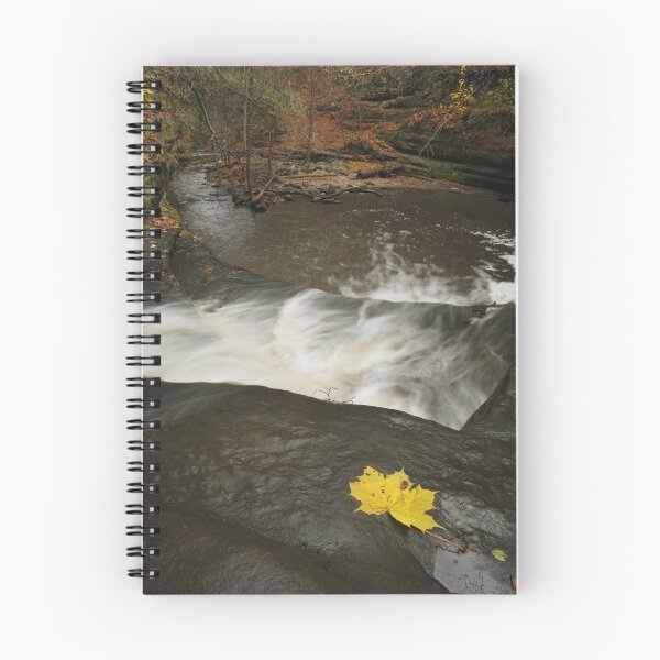 Item preview, Lone Maple Leaf and Waterfall designed and sold by Adam Bykowski.